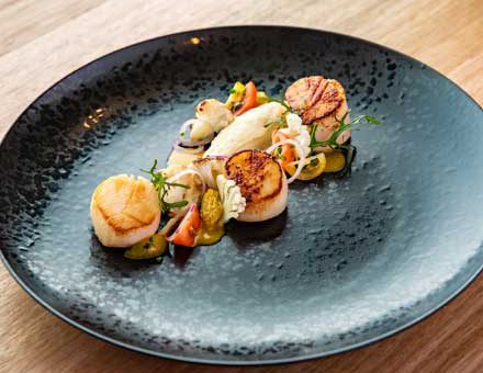 scallops on plate